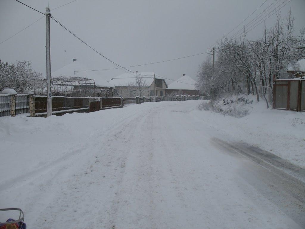 Верхні Ремети з panoramio.com - Верхние Реметы