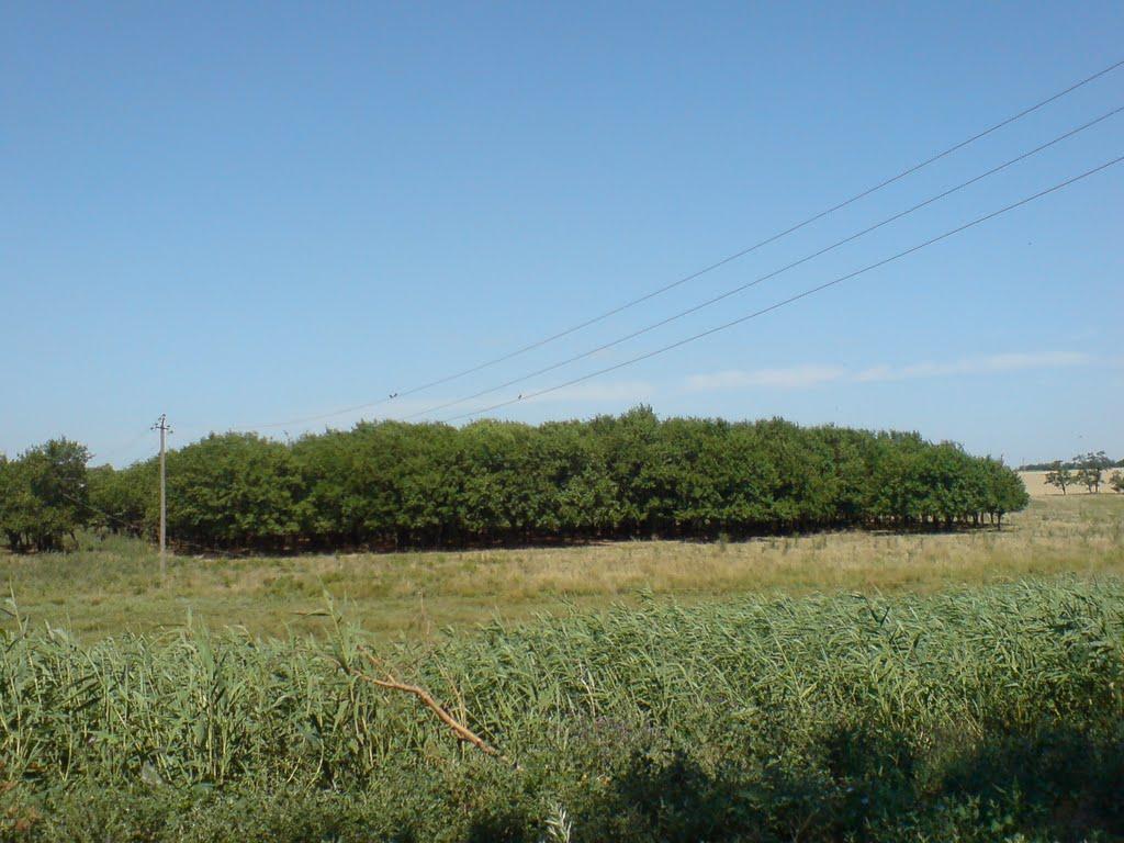 Луначарське з panoramio.com - Азовское