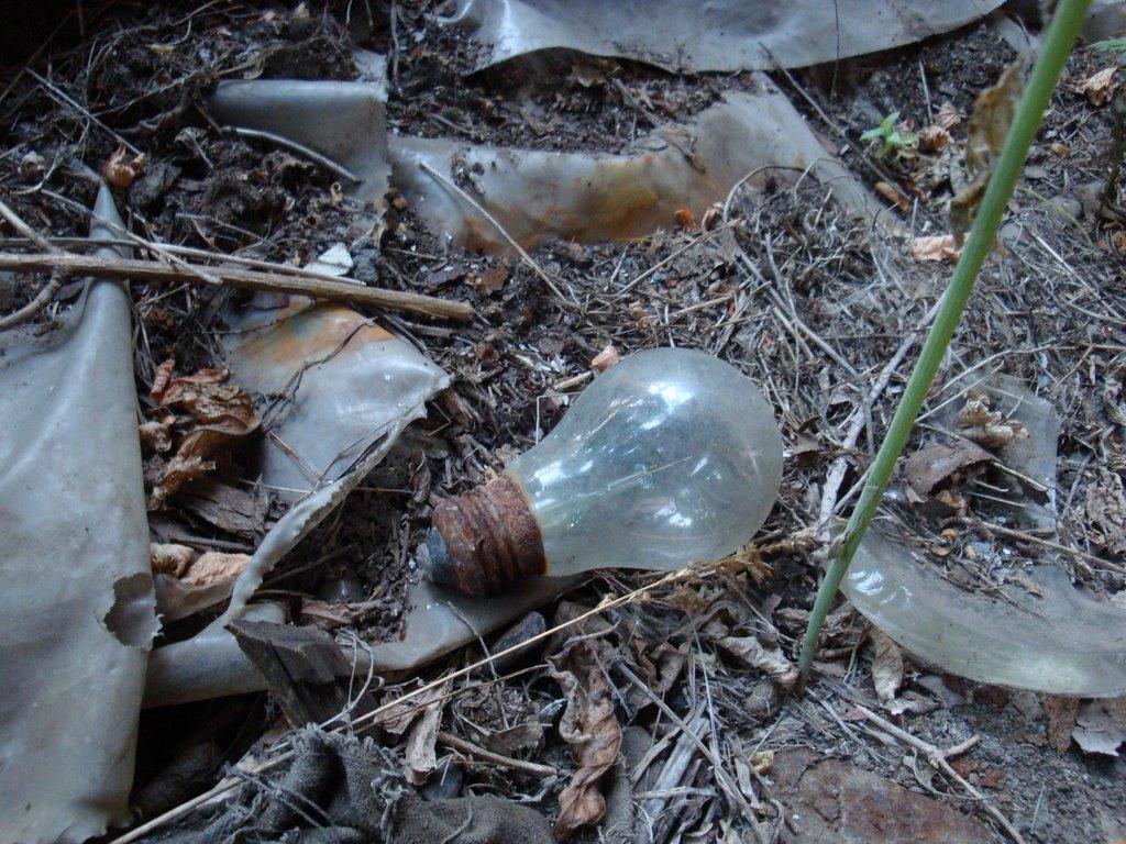 Ракшівка з panoramio.com - Ракшивка