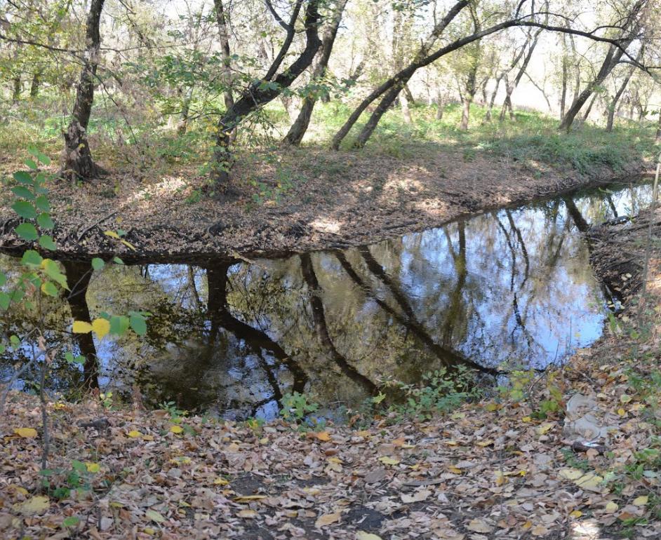 Селезнівка з panoramio.com - Селезневка