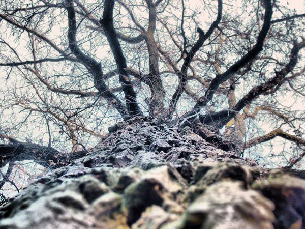 Хотів з panoramio.com - Хотов