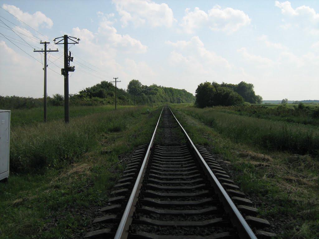 Колоденці з panoramio.com - Колоденці