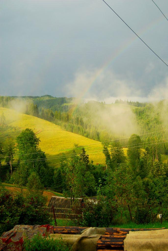 Кривопілля з panoramio.com - Кривополье