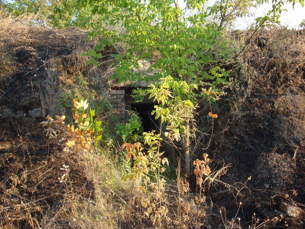 Ракшівка з panoramio.com - Ракшивка