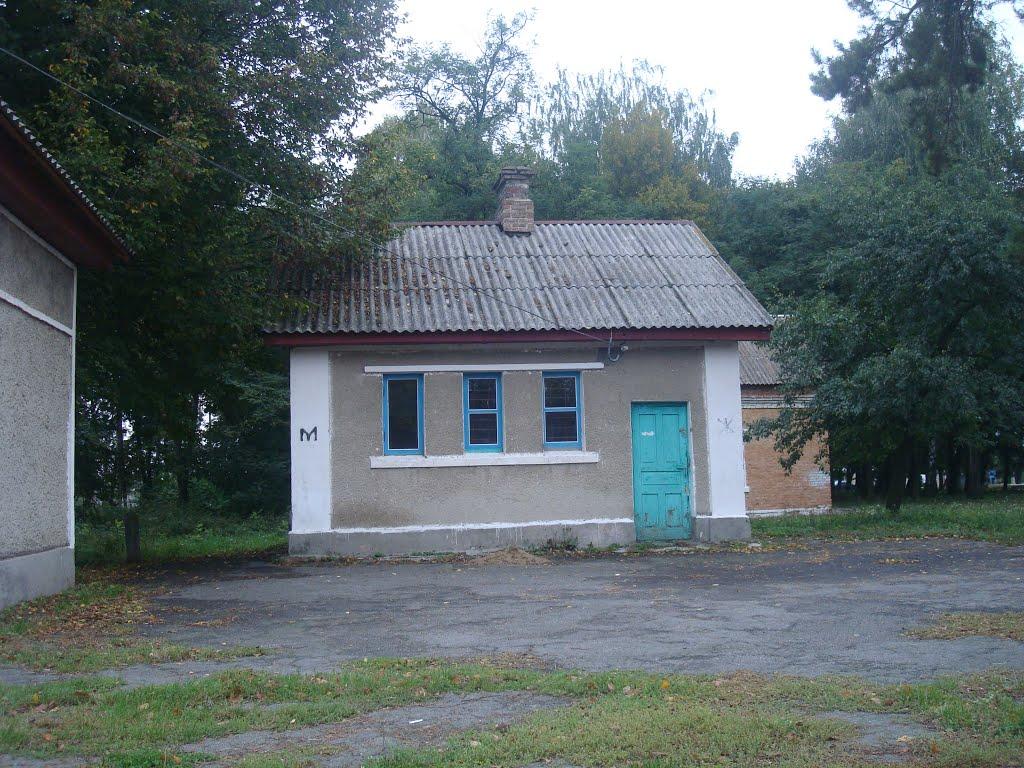 Веснянка з panoramio.com - Веснянка