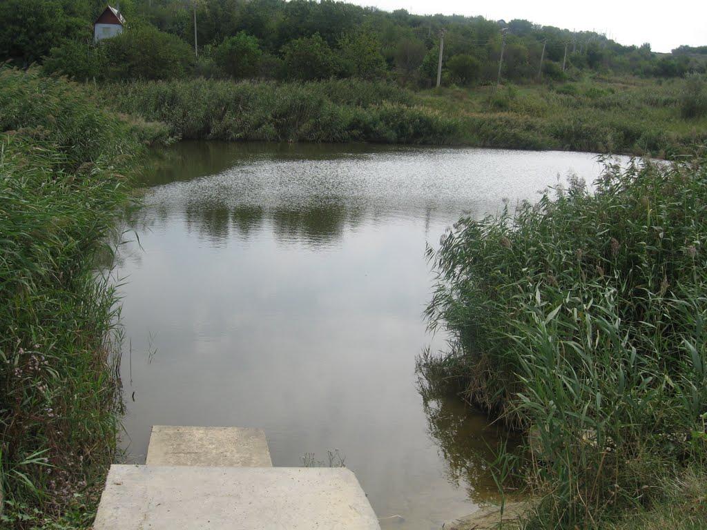 Гребеники з panoramio.com - Гребеники