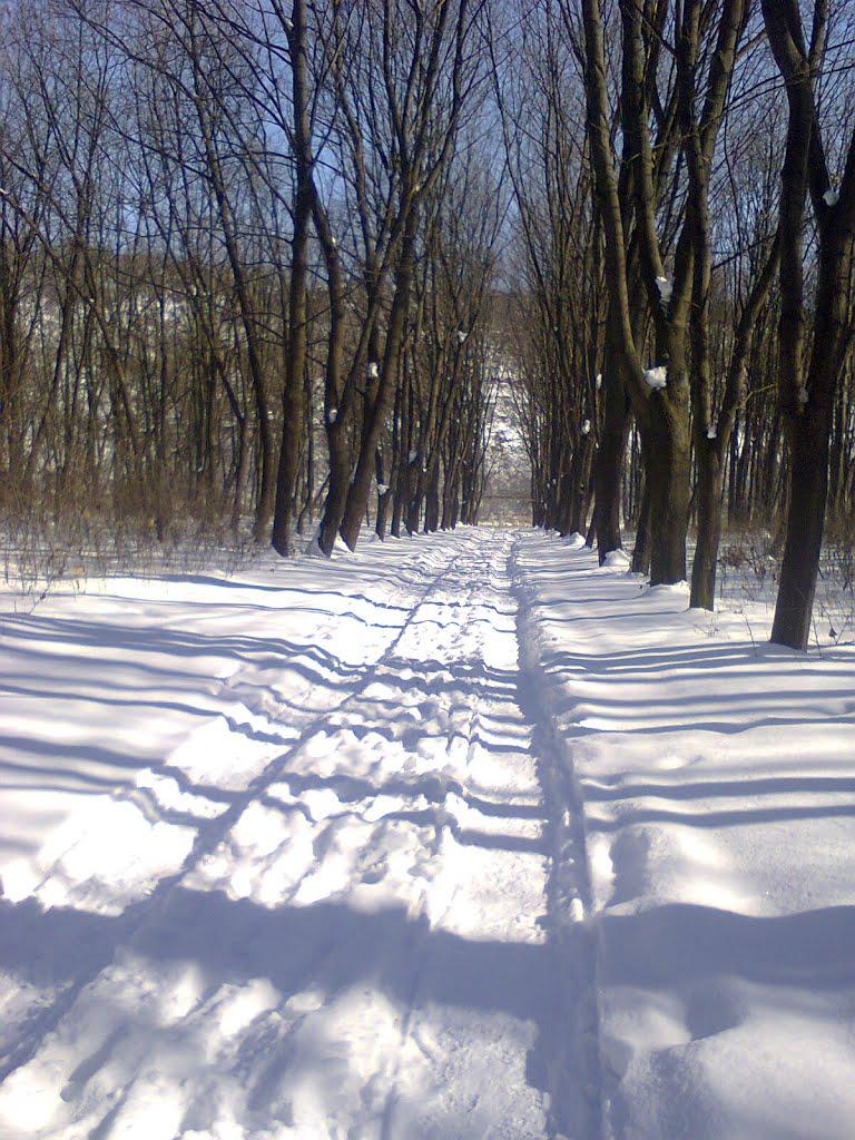 Кострижівка з panoramio.com - Kostryzhivka