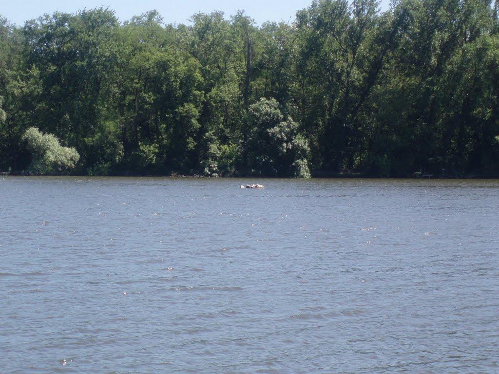 Комісарівка з panoramio.com - Комісарівка