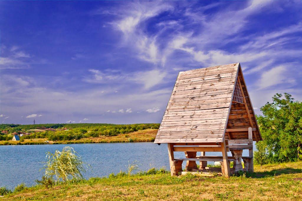 Василівська Пустош з panoramio.com - Василівська Пустош