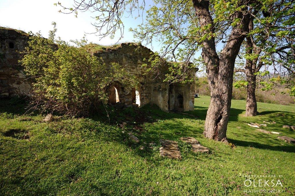 Багате з panoramio.com - Багате