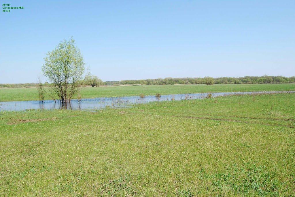 Плавні з panoramio.com - Плавни