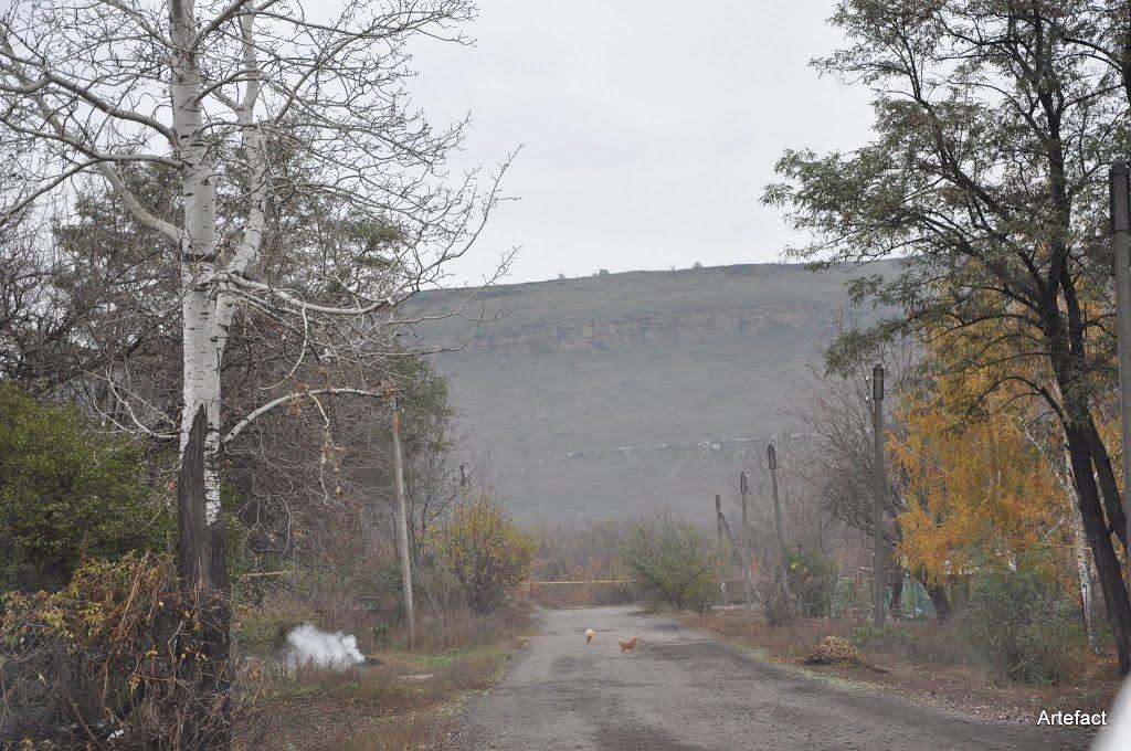 Селезнівка з panoramio.com - Селезневка