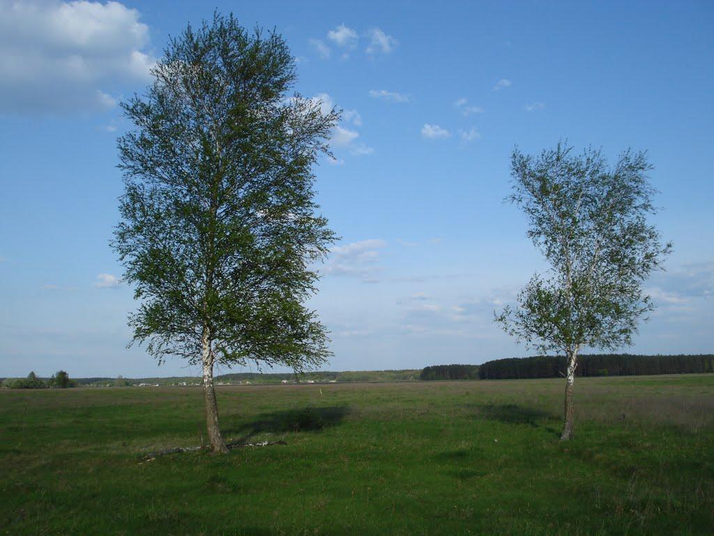 Ніжиловичі з panoramio.com - Нежиловичи