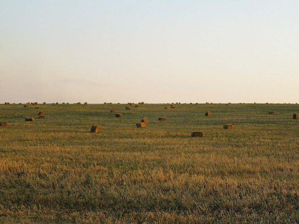 Новобахмутівка з panoramio.com - Новобахмутівка