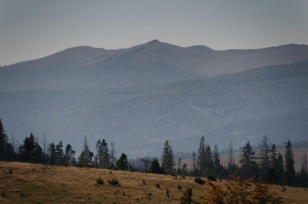 Карпатське з panoramio.com - Карпатське