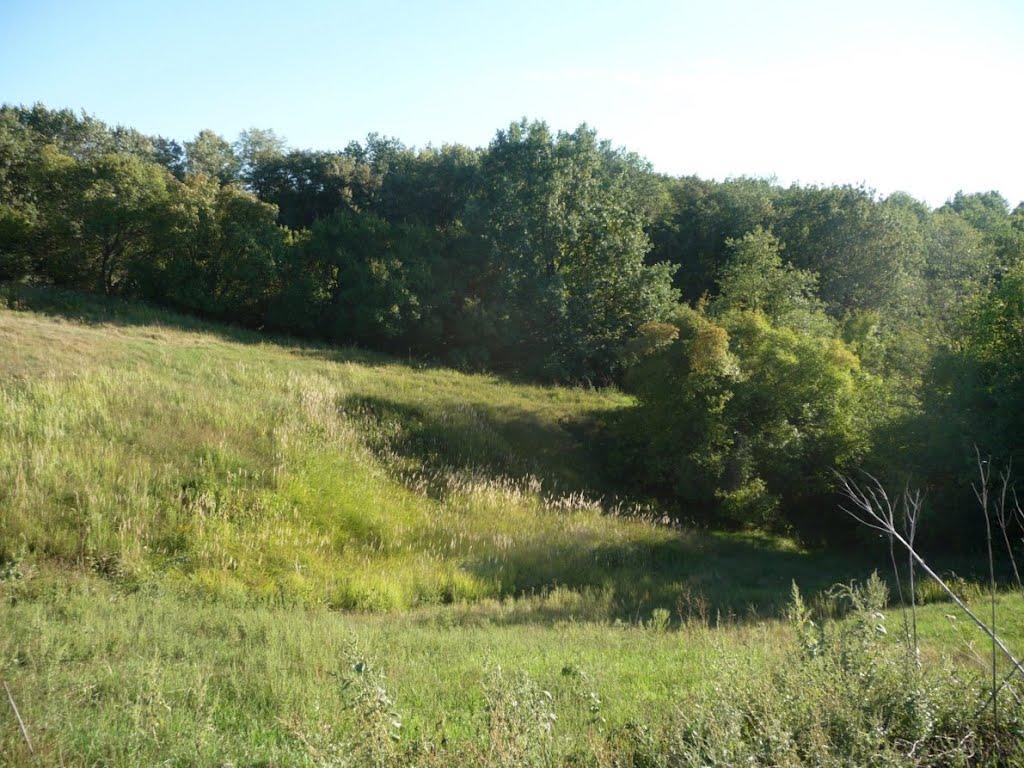 Бабаї з panoramio.com - Babayi