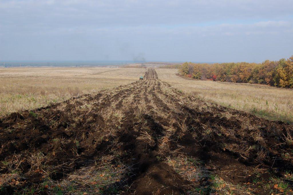 Білогорівка з panoramio.com - Белогоровка