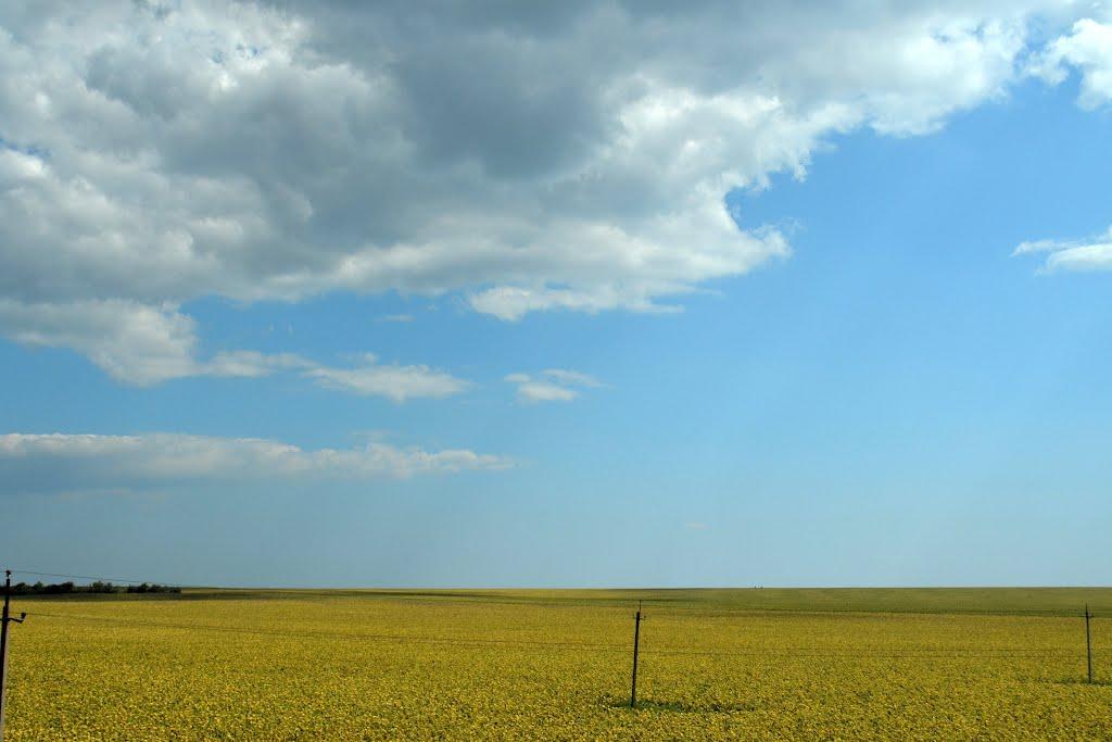 Луначарське з panoramio.com - Азовское