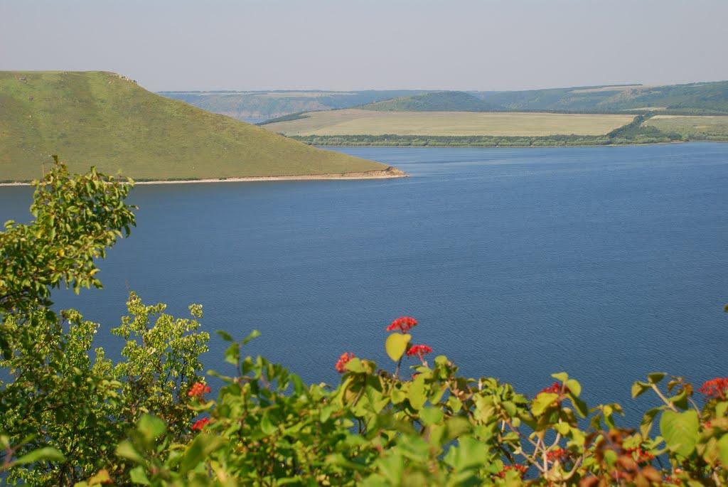 Комарів з panoramio.com - Комаров