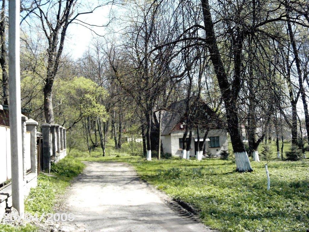 Долина з panoramio.com - Долина