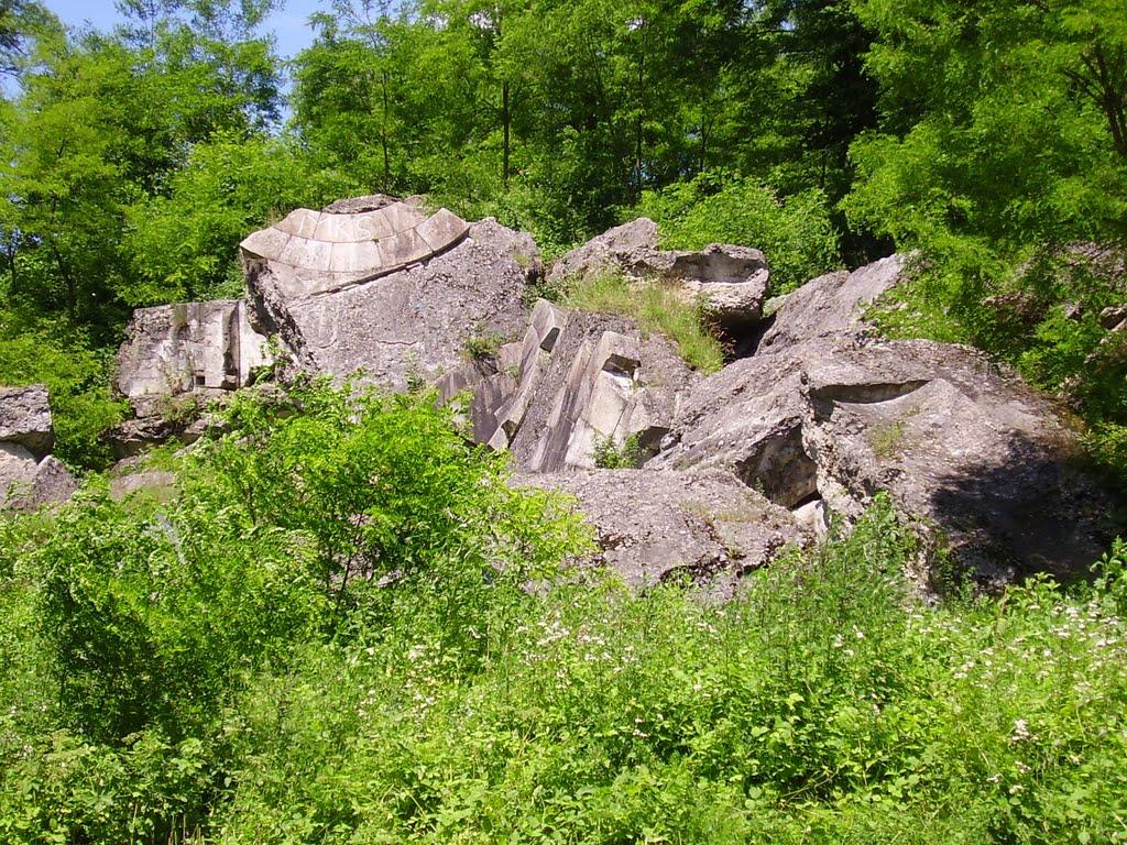 Биків з panoramio.com - Быков