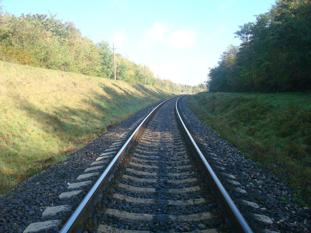 Велика Калинівка з panoramio.com - Велика Калинівка