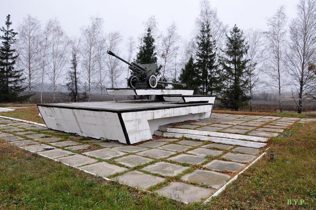 Нова Березівка з panoramio.com - Нова Березівка