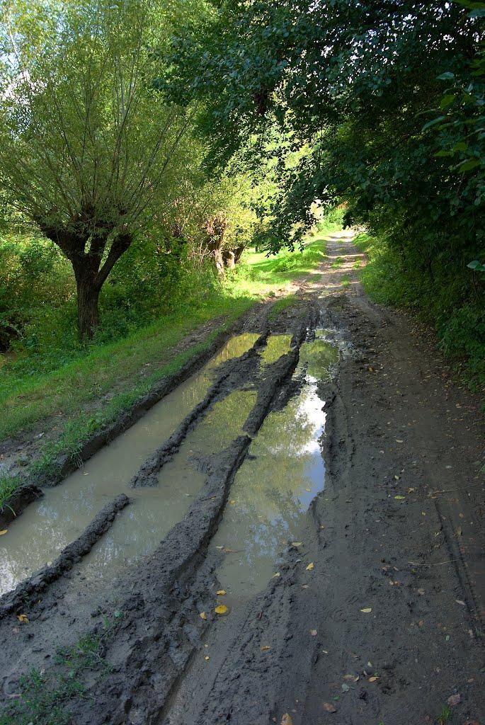 Миньківці з panoramio.com - Миньківці