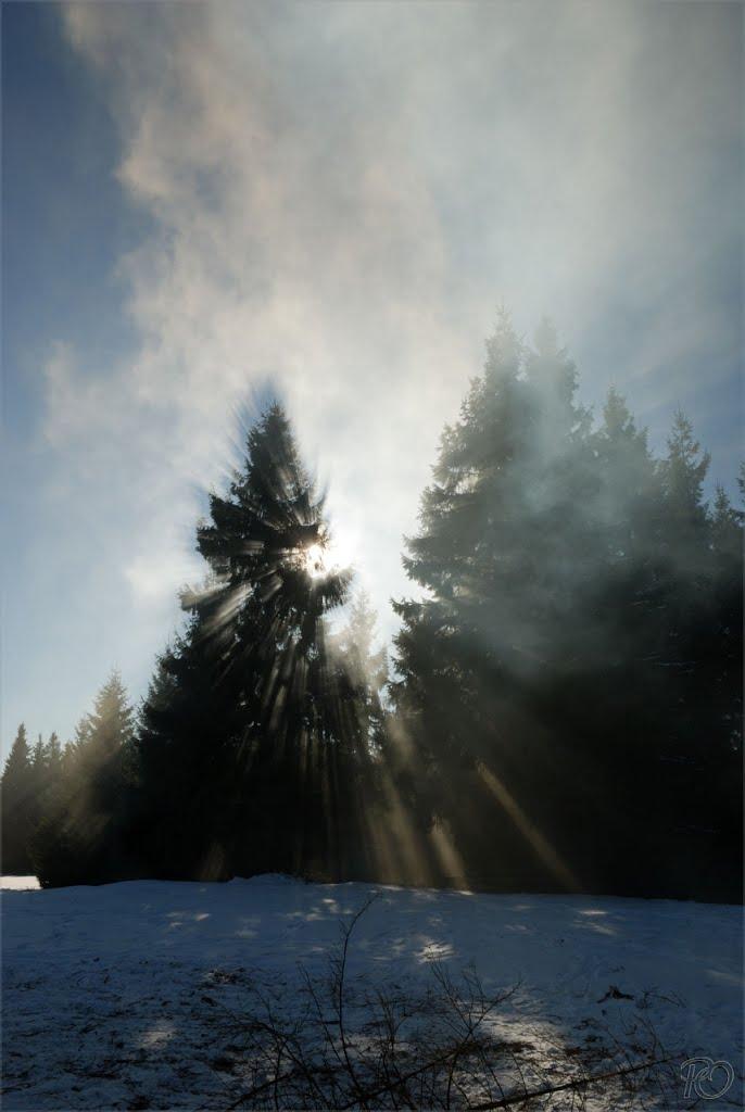 Береги з panoramio.com - Береги