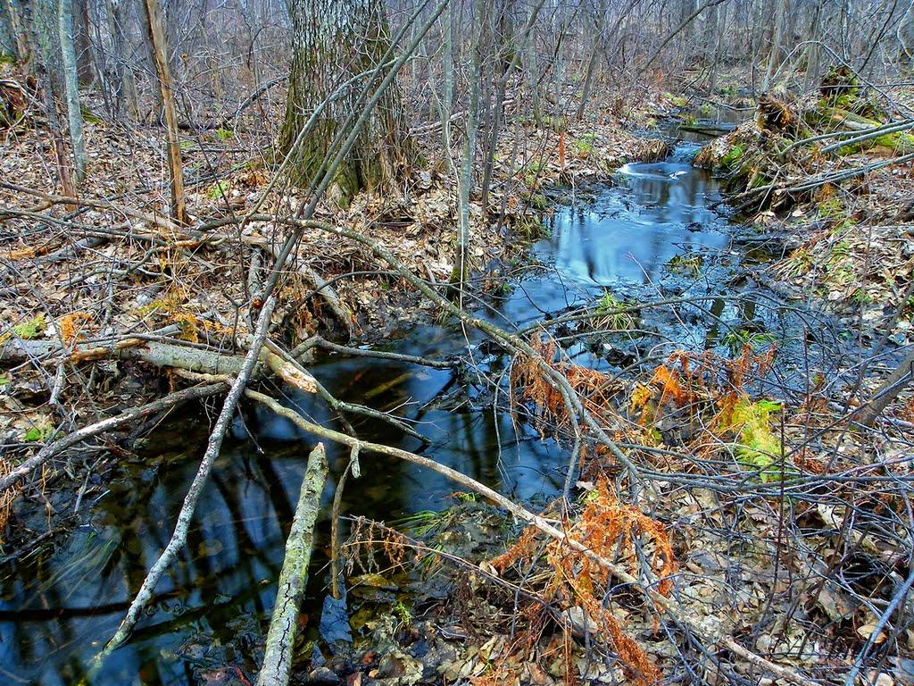 Грибова Рудня з panoramio.com - Грибова Рудня