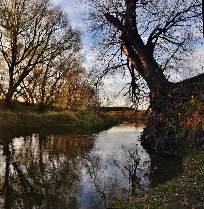 Стриганка з panoramio.com - Стриганка