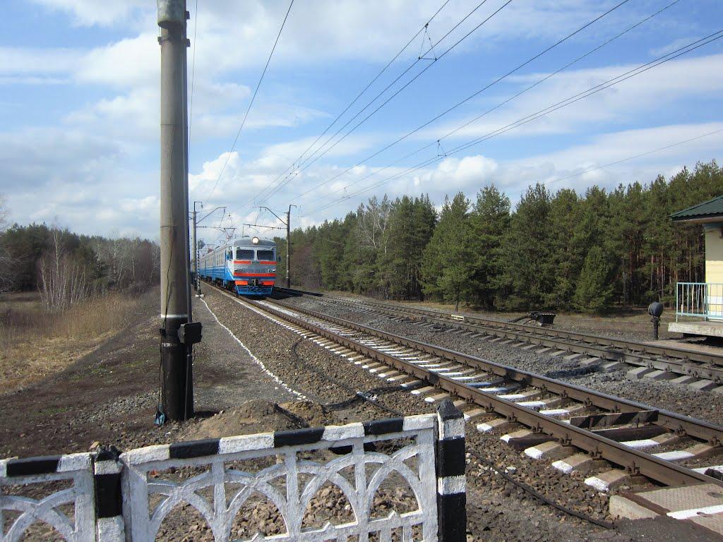 Новоселівка з panoramio.com - Новоселівка