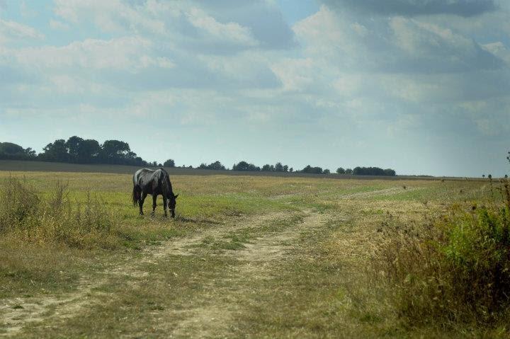 Мирогоща Друга з panoramio.com - Мирогоща Друга