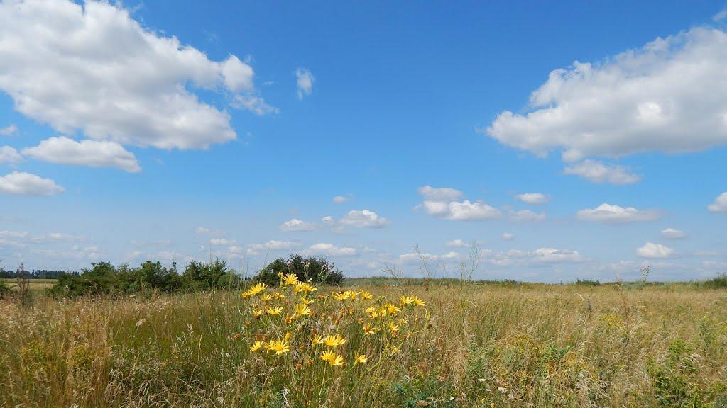 Башмачка з panoramio.com - Башмачка