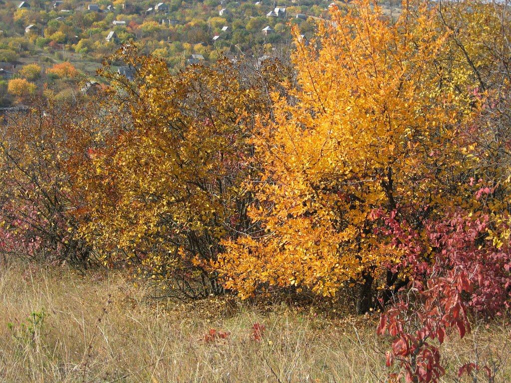 Труд-Гребеник з panoramio.com - Труд-Гребеник