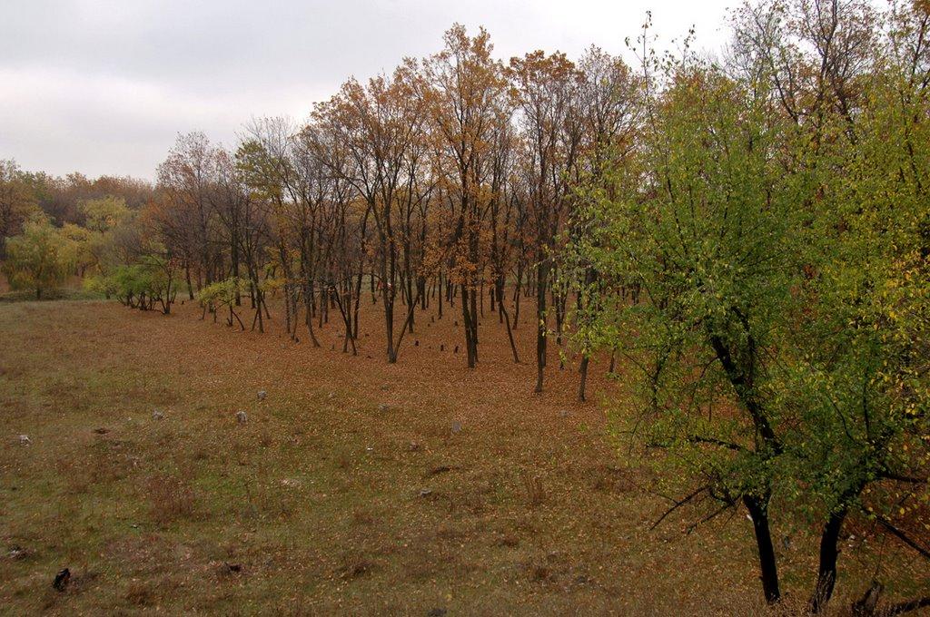 Кремінець з panoramio.com - Кременец