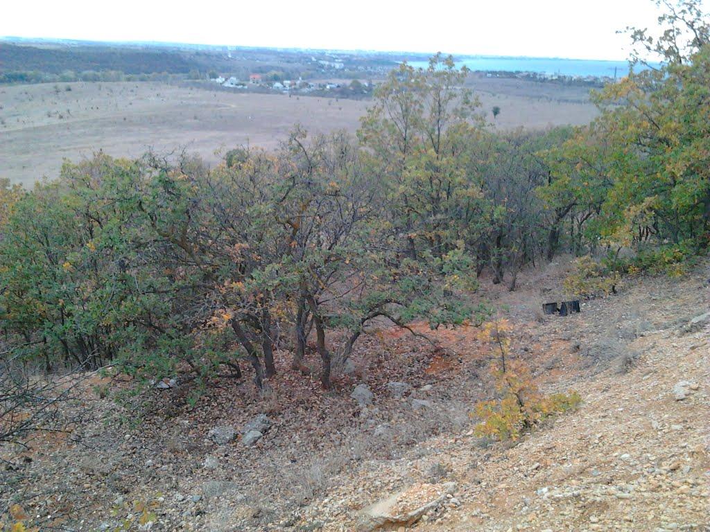 Любимівка з panoramio.com - Любимовка