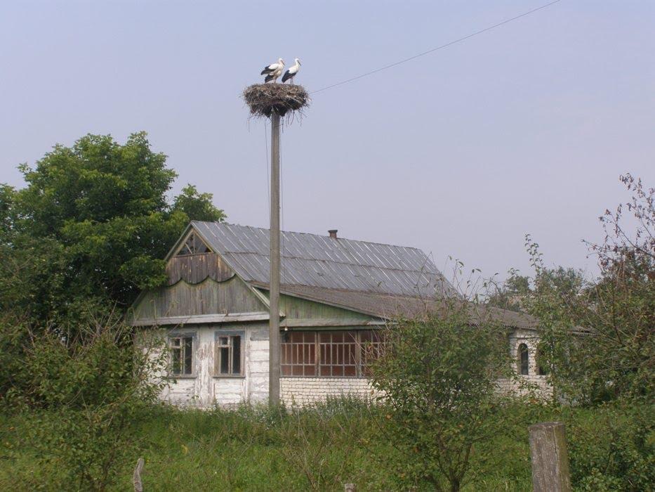 Дубрівка з panoramio.com - Дубрівка