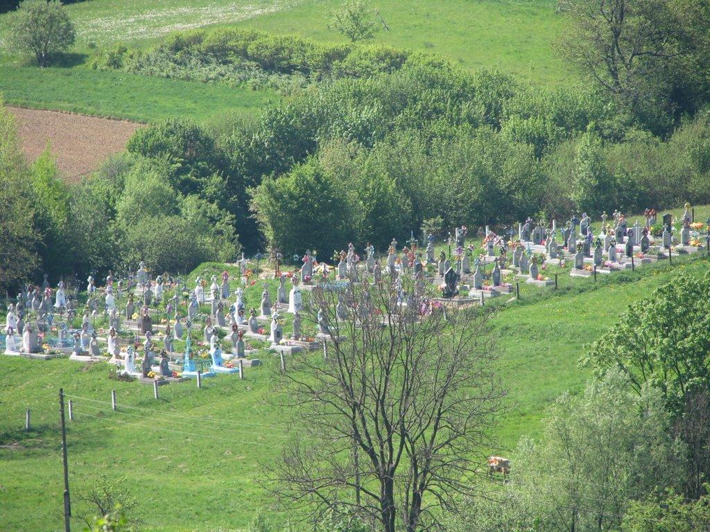 Катина з panoramio.com - Katyna
