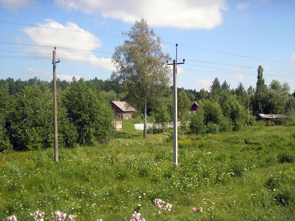 Рихальське з panoramio.com - Рыхальское