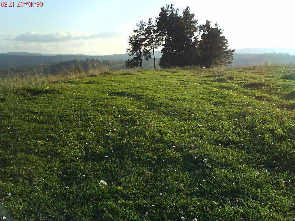 Лопушниця з panoramio.com - Лопушниця