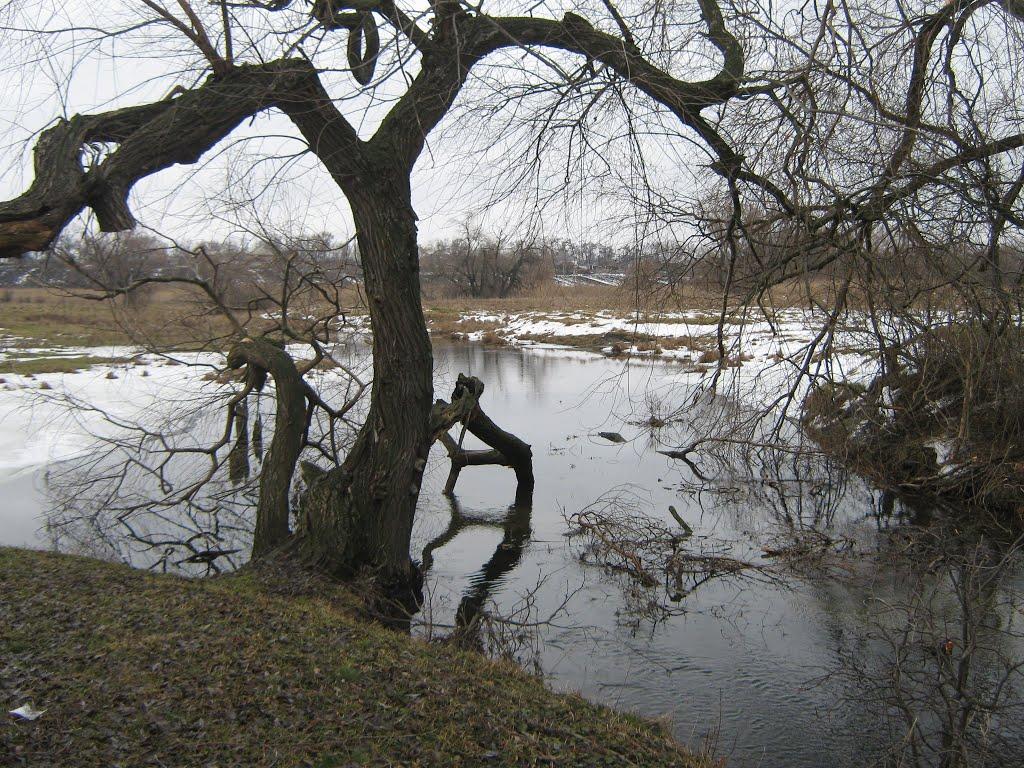 Стара Гнилиця з panoramio.com - Стара Гнилиця