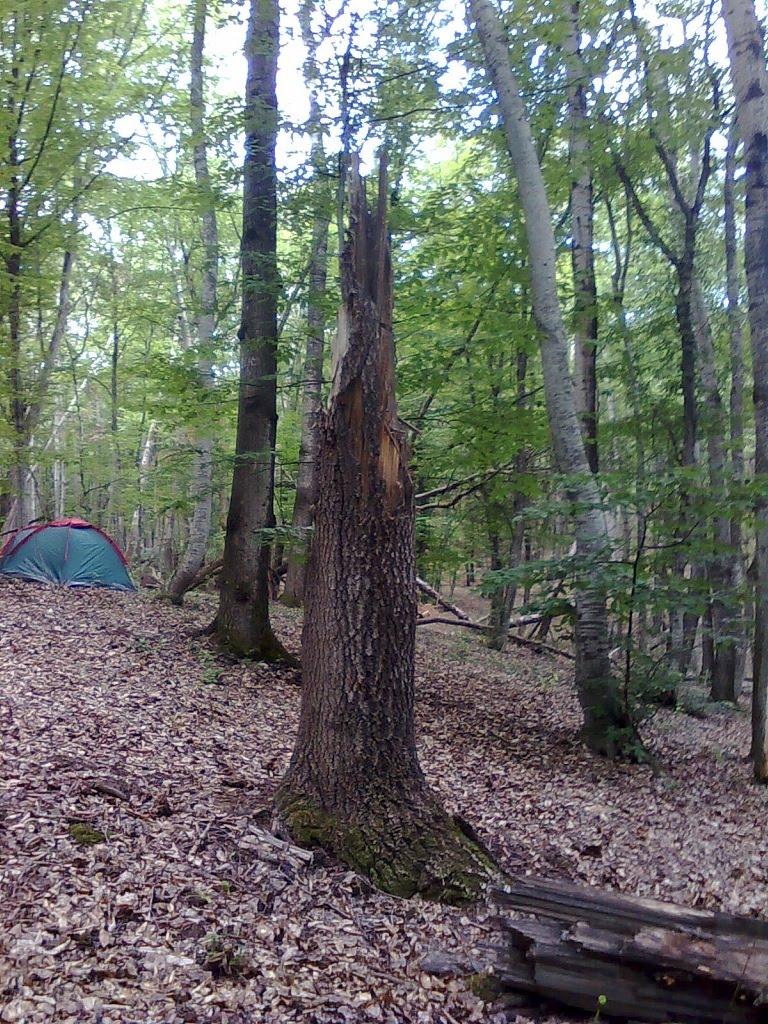 Краснолісся з panoramio.com - Краснолесье