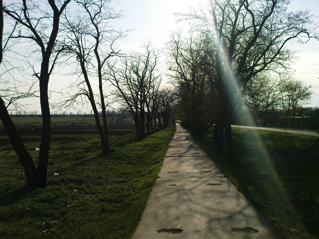 Петрівка з panoramio.com - Петровка