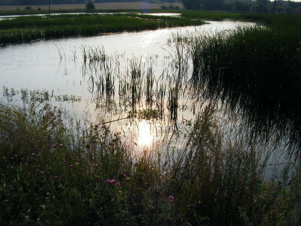 Примощаниця з panoramio.com - Примощаниця