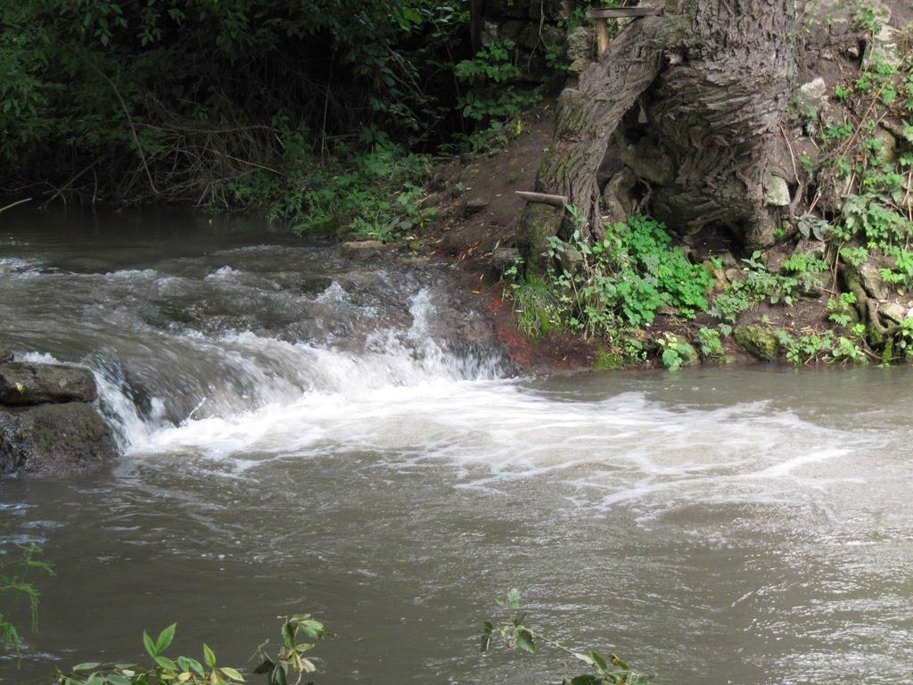 Шершенці з panoramio.com - Шершенці