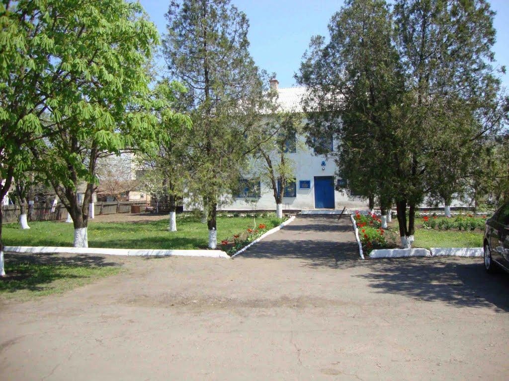 Сірогози з panoramio.com - Сірогози