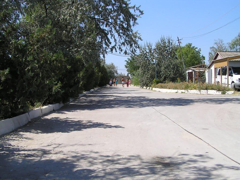 Кошари з panoramio.com - Кошари