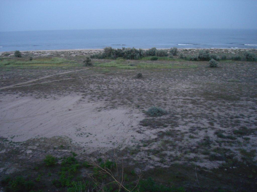 Грибівка з panoramio.com - Грибівка