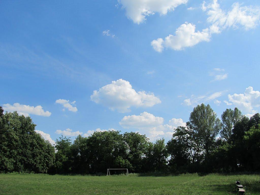 Нова Олександрівка з panoramio.com - Новая Александровка